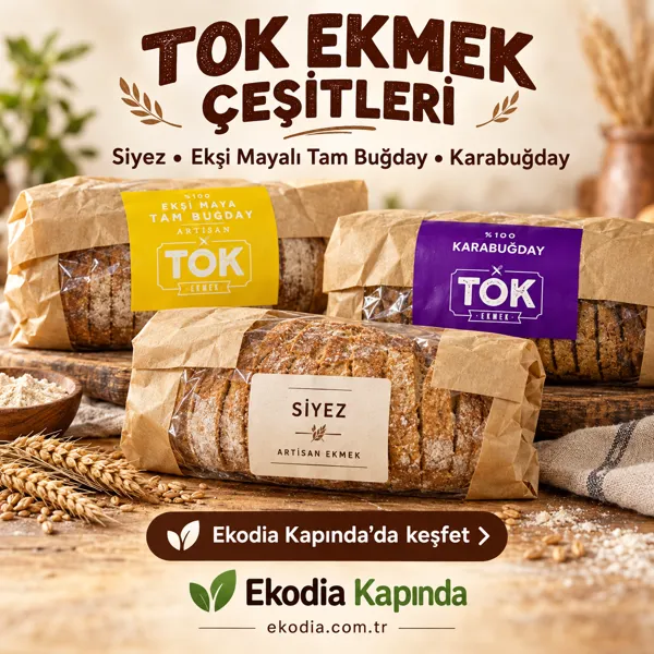 Tok Ekmek