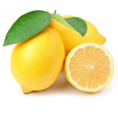 Limon Kg 2049