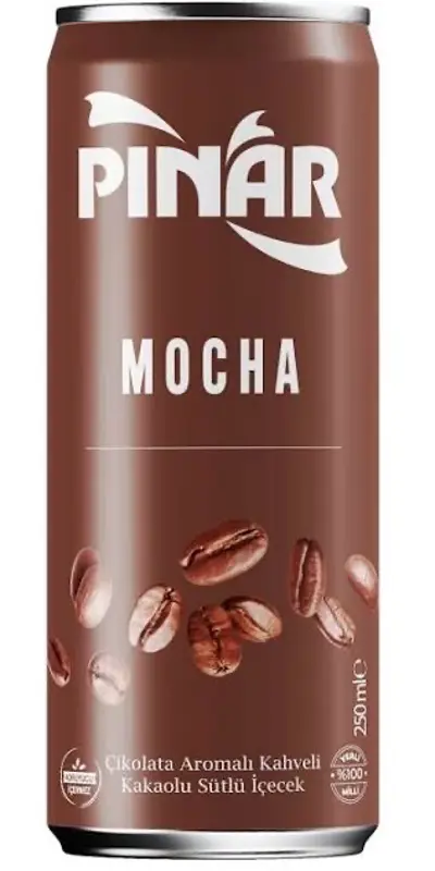 Pınar Mocha Soğuk Kahve 250 Ml