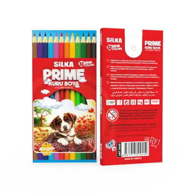 Silka Kuru Boya 12Li