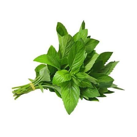 Nane Bağ