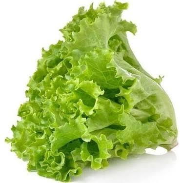 Marul Kıvırcık Adet